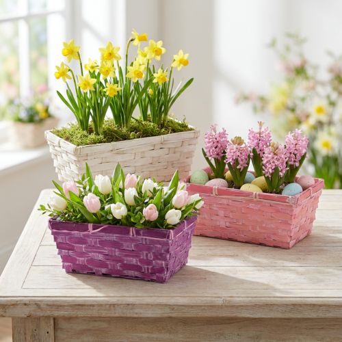 Chip basket square purple/white/pink 8 pieces | Floristik24.co.uk