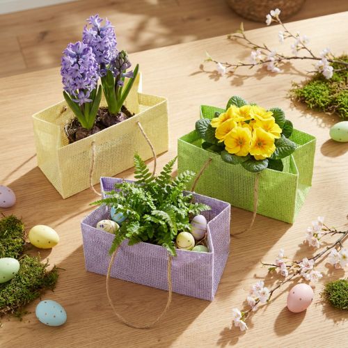 Woven gift bags with handles green, yellow, purple 20×10×10cm 6pcs | Floristik24.co.uk