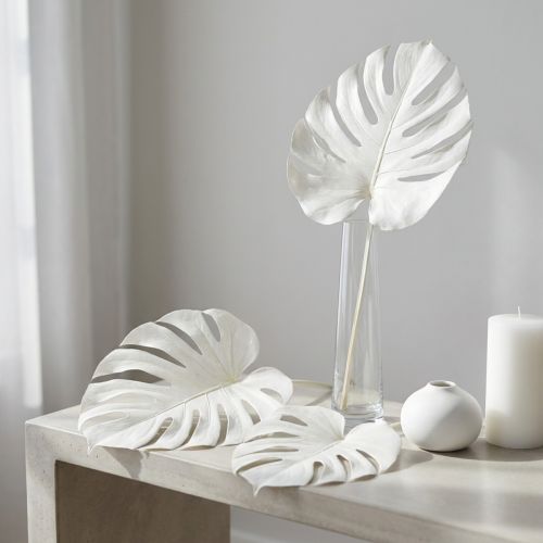 Product Monstera leaves bleached decorative window leaf H40cm 5 pcs