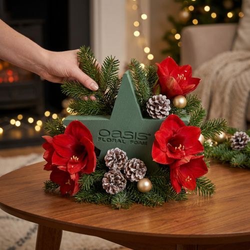 Wet floral foam star for arrangements 25 x 25 x 4.5 cm | Floristik24.co.uk