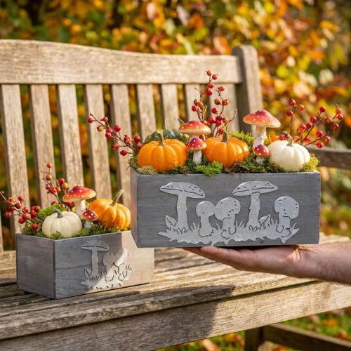 Wooden box set toadstool, autumn decorations, garden decorations, plant boxes L40 / 30cm, set of 2 | Floristik24.co.uk