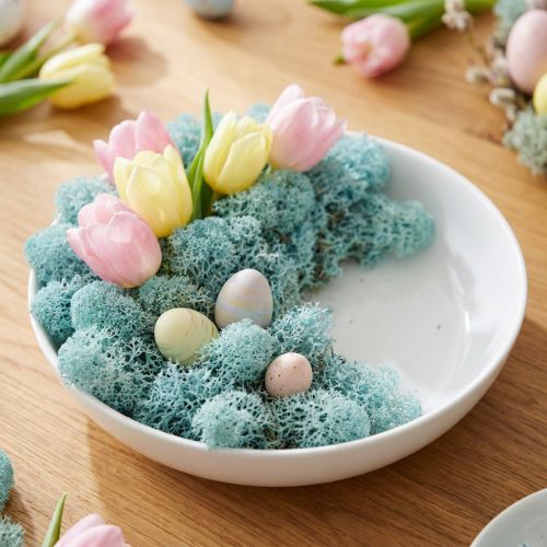 Decoration moss light blue aquamarine reindeer moss handicraft moss 400g | Floristik24.co.uk