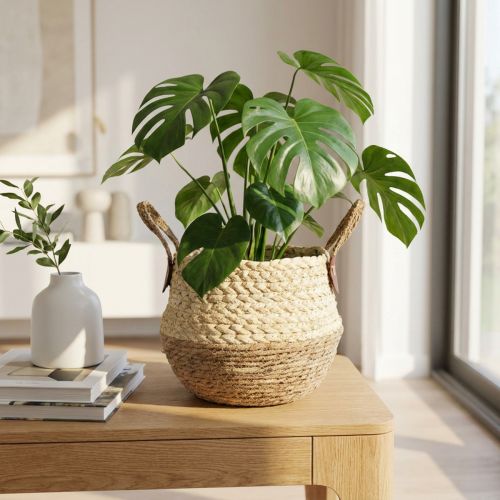 Seagrass Basket Two-Tone with Handles - Storage & Planting Basket - Natural & Brown Ø25cm H24cm | Floristik24.co.uk