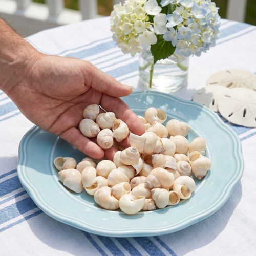 Mussel Umachi 500g | Floristik24.co.uk