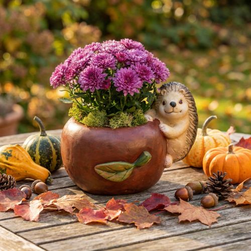 Planter, apple with hedgehog, autumn decoration, cachepot, ceramic Ø16cm H22cm W33cm | Floristik24.co.uk