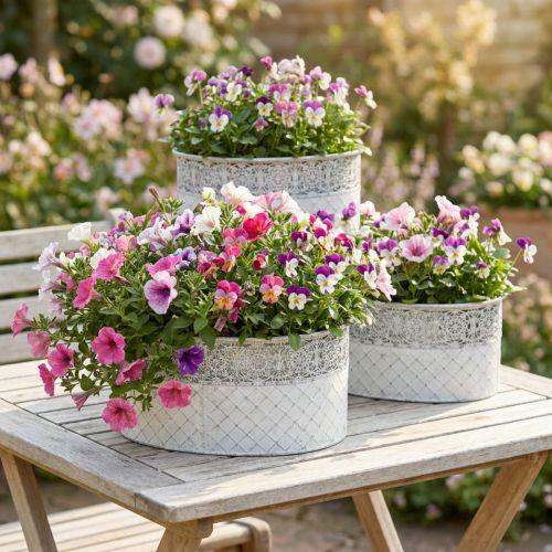 Planting bowl, metal container with lace pattern, oval decorative pot, white and silver, shabby chic, L41.5/35/29.5cm H19/16/14.5cm, set of 3 | Floristik24.co.uk
