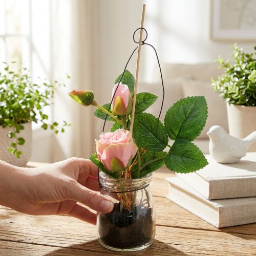 Rose in a glass Rosa H23cm | Floristik24.co.uk