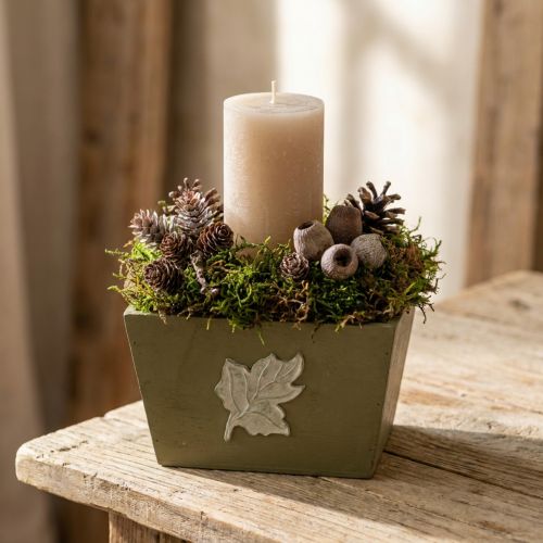 Pine Green Wooden Planter Box Shabby Chic 11×14.5×14cm | Floristik24.co.uk