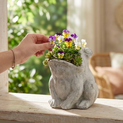 Frog decorative plant pot flower pot concrete grey H18.5cm | Floristik24.co.uk