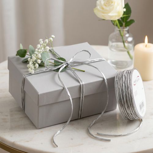 Paper cord silver without wire Ø3mm 40m | Floristik24.co.uk