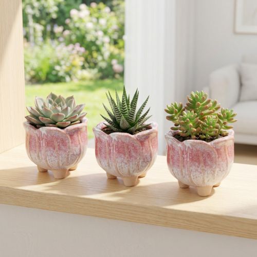 Mini planter ceramic pot flower assorted Ø8cm H7cm 3pcs | Floristik24.co.uk