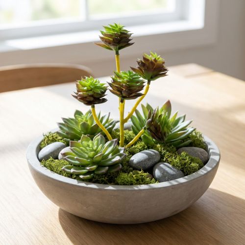 Succulent picket green / brown 35,5cm | Floristik24.co.uk