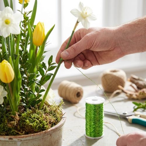 Bouillon effect wire decoration Ø0.30mm 100g 140m apple green florist wire craft wire | Floristik24.co.uk