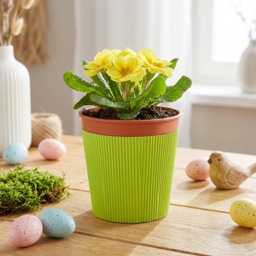 Pleated cuffs for flower pots light green 14.5cm 100 pcs | Floristik24.co.uk