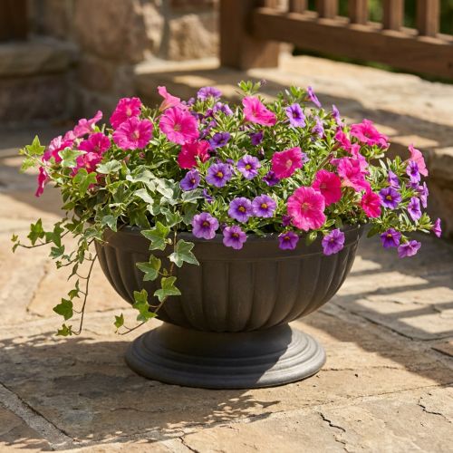 Bowl with foot anthracite, 1 pc | Floristik24.co.uk