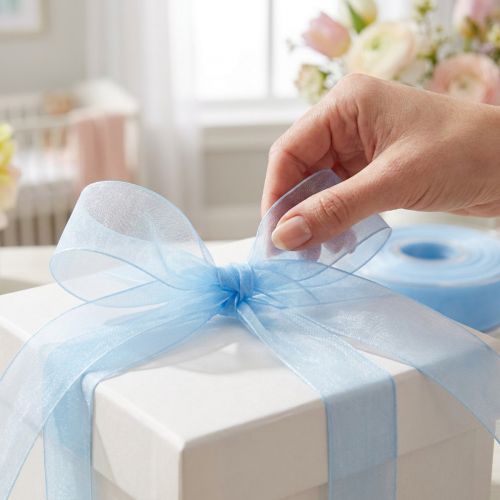 Organza ribbon gift ribbon light blue ribbon blue selvage 25mm 50m | Floristik24.co.uk