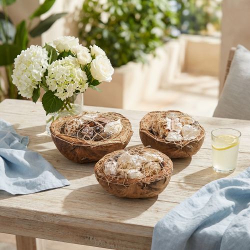 Half coconut shell decoration shells snail shells decoration 18-19cm 3 pcs | Floristik24.co.uk