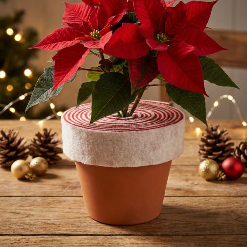 Product Two-tone pot hinge made of 100% wool as a decorative felt ribbon, white/red, 7.5cm wide, 5m long