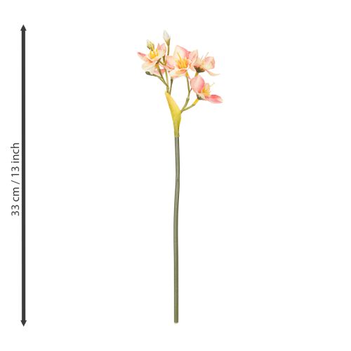 Product Decorative flowering branch Peruvian lily for timeless arrangements, 33cm, 6 pieces