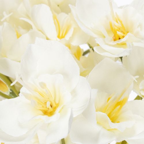 Product Daffodil branch for seasonal wedding arrangements, beautiful, 33cm, 6 pieces