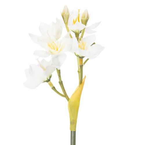 Product Daffodil branch for seasonal wedding arrangements, beautiful, 33cm, 6 pieces