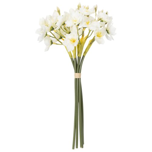 Product Daffodil branch for seasonal wedding arrangements, beautiful, 33cm, 6 pieces