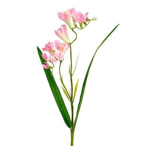 Floristik24 Freesia 56cm Pink 4pcs