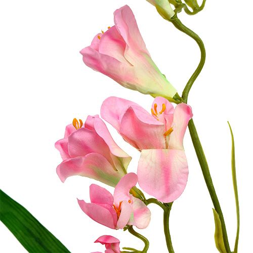 Floristik24 Freesia 56cm Pink 4pcs