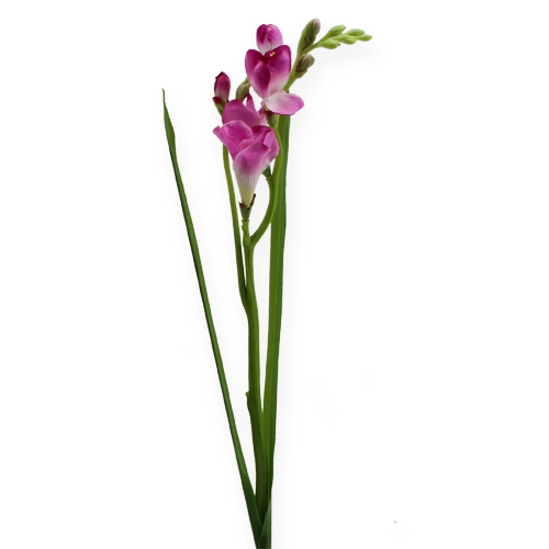 Floristik24 Art Flower Fresien 56cm 3pcs.