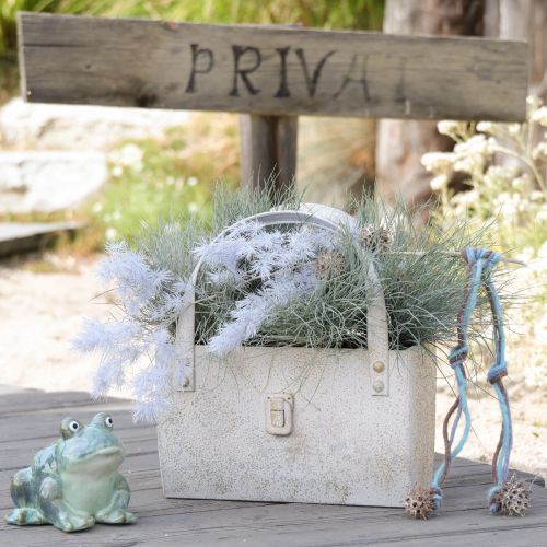 Product Frog figurine, summer decoration made of ceramic for home and balcony, 12cm, 3 pieces