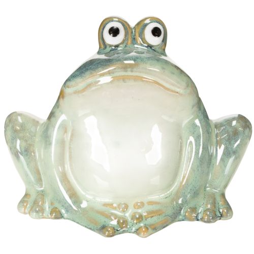 Ceramic frog decorative figurine, detailed design, charming gift idea, 13cm