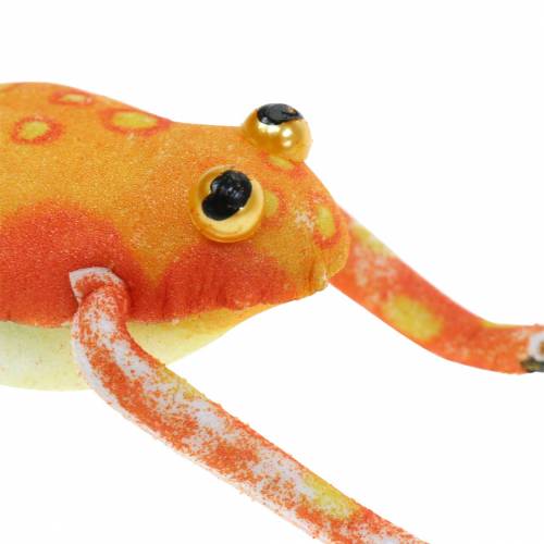Floristik24 Decorative frogs with dots and wire 7.5cm 3 pieces sorted