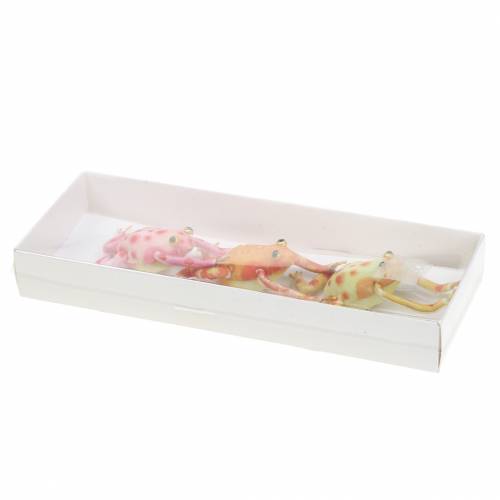 Floristik24 Decorative frogs with dots and wire 7.5cm 3 pieces sorted