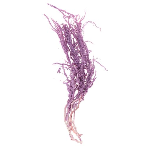 Foxtail dried flowers, dyed, for modern home decoration, 100cm, 5 pieces