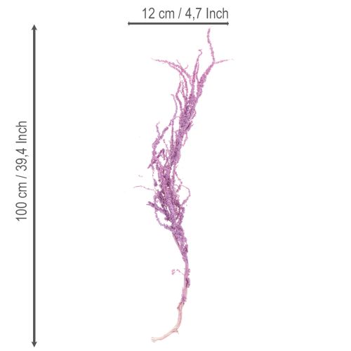 Product Foxtail dried flowers, dyed, for modern home decoration, 100cm, 5 pieces