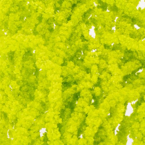 Product Foxtail dried flowers, dyed, for special home decor and unique accents, 100cm, 5 pieces