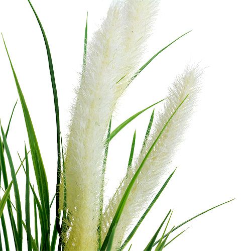 Floristik24 Foxtail grass green, white 63cm