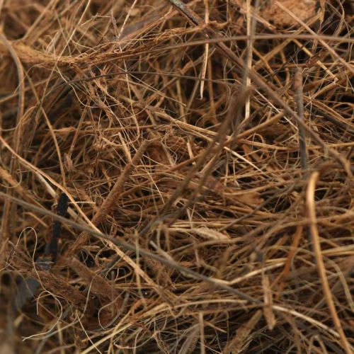 Product Filling material for arrangements decorative fibers Palmyra palm fiber 1kg