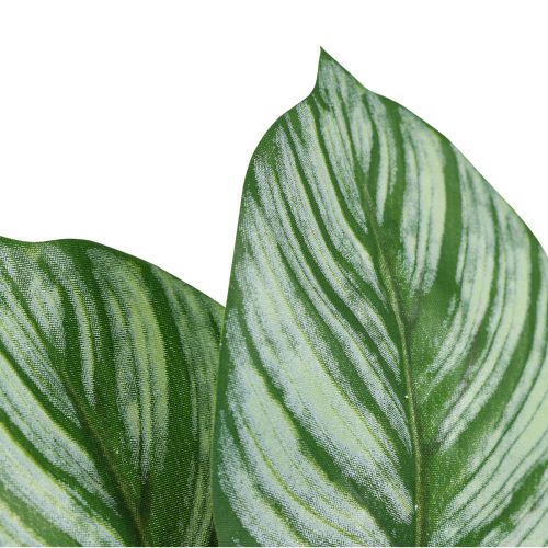 Product Calathea Artificial Basket Marante Artificial Plants Green 51cm