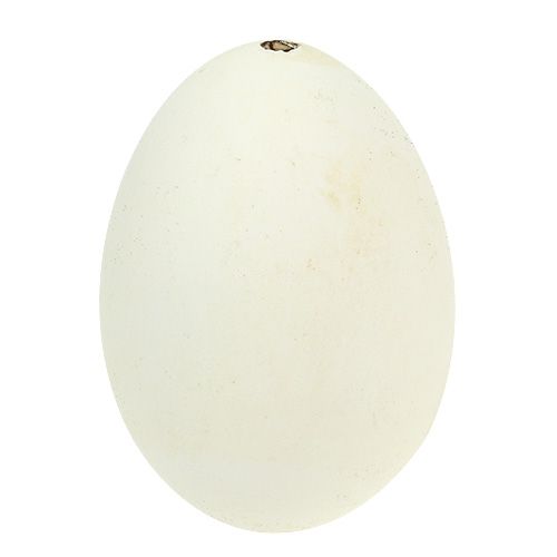 Floristik24 Goose eggs white 7cm - 8cm 6pcs