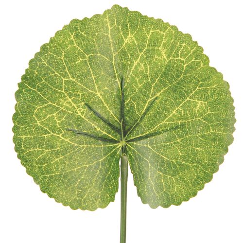Product Galax Urceolata Leaves Artificial Green Ø10cm L23cm 12 pcs