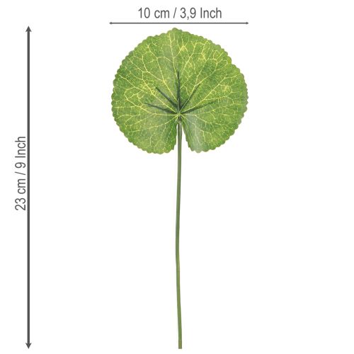 Product Galax Urceolata Leaves Artificial Green Ø10cm L23cm 12 pcs