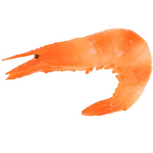 Floristik24 Shrimp artificially 9cm 6pcs