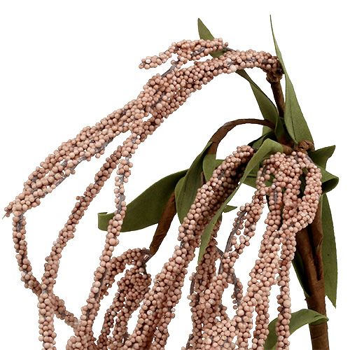 Floristik24 Garden foxtail 95cm