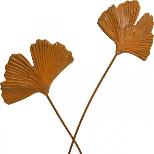 Floristik24 Garden stake rust gingko leaf bed stake 7x5cm 6pcs