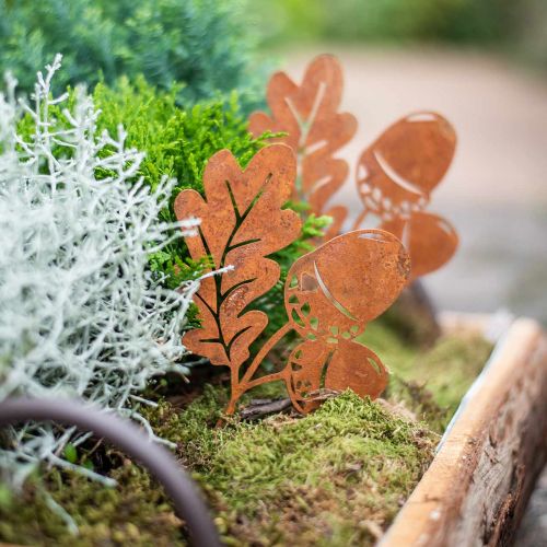 Product Garden stake acorns with leaf rust metal H19cm 6 pcs