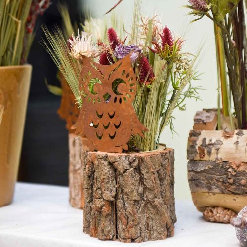 Product Garden stakes owl patina, autumn, metal decoration H32cm 6pcs