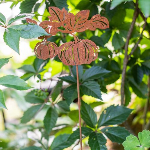Floristik24 Garden Stake Pumpkin Rust Garden Decoration Autumn Metal 57cm