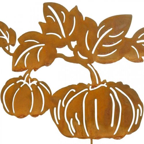 Floristik24 Garden Stake Pumpkin Rust Garden Decoration Autumn Metal 57cm