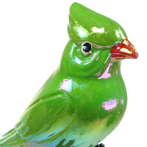 Floristik24 Garden plug parrot green 16cm
